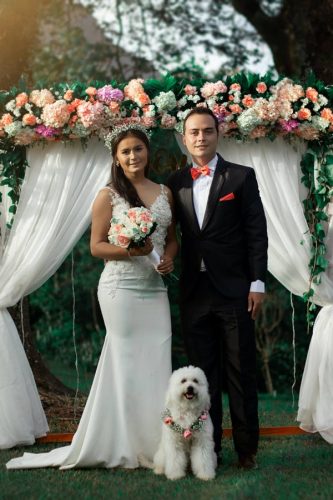 Easy ways to include your pet on your wedding day