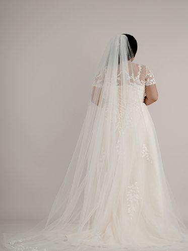 Dresses with matching veils in ivory