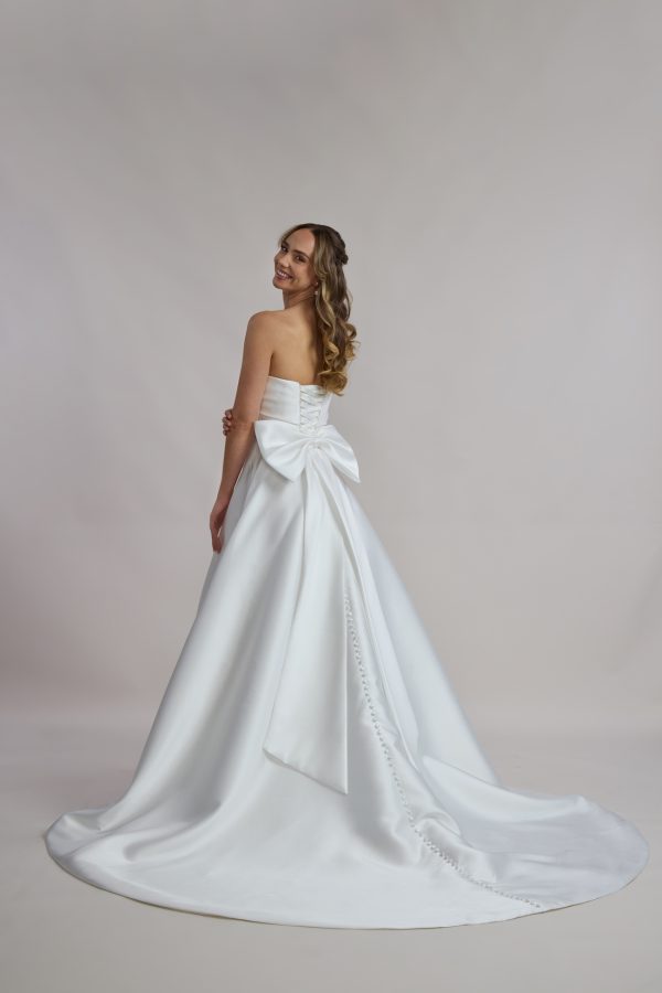 Brooklyn Back Of Dress