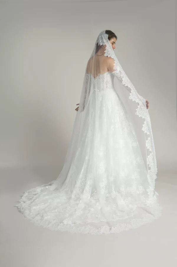 Mantilla Veil Back Scaled