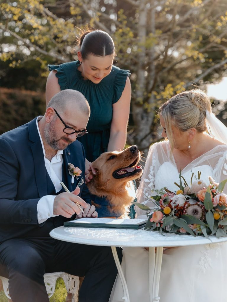 8f206517e39e411ea93363cf7c9b3e6c