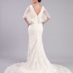 Back Of Cape Sleeve Dress